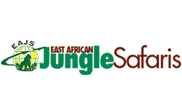 Digital Marketing, Web Designing For African Safari Operators